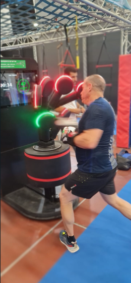 מתקן אגרוף mma
