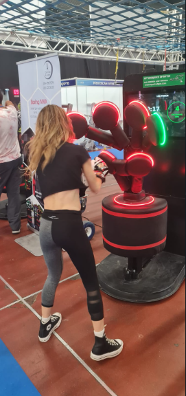מתקן אגרוף mma — תמונה 2